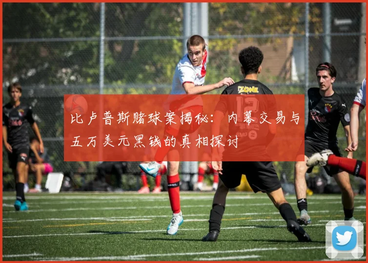 比卢普斯赌球案揭秘：内幕交易与五万美元黑钱的真相探讨