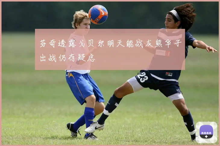芬奇透露戈贝尔明天能战灰熊华子出战仍存疑虑
